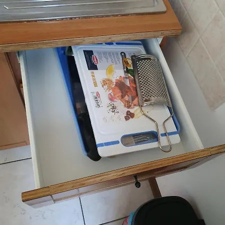 Dina רוביגו