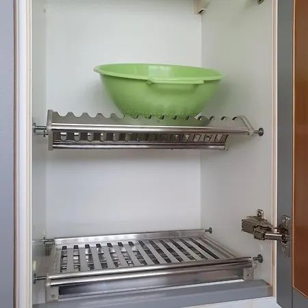 Dina רוביגו